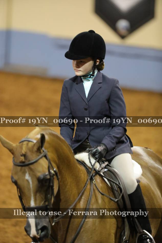 Proof 19YN_00690