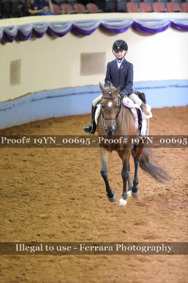 Proof 19YN_00695