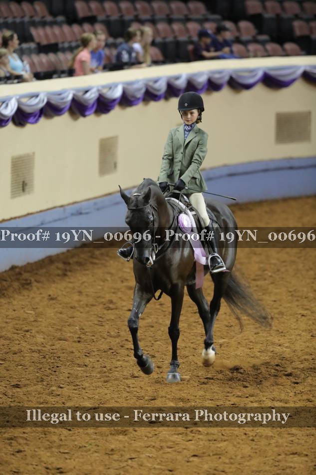 Proof 19YN_00696