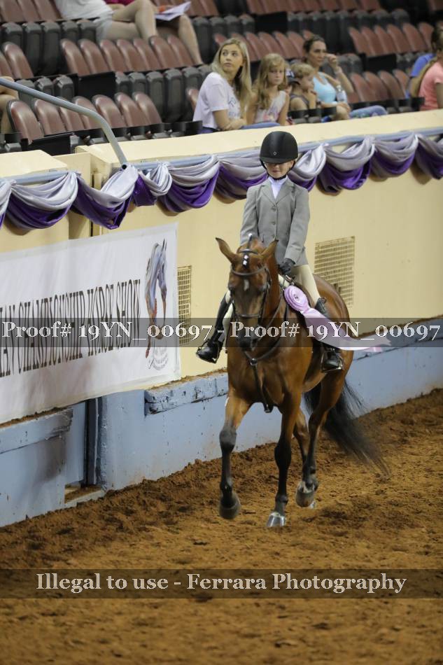 Proof 19YN_00697