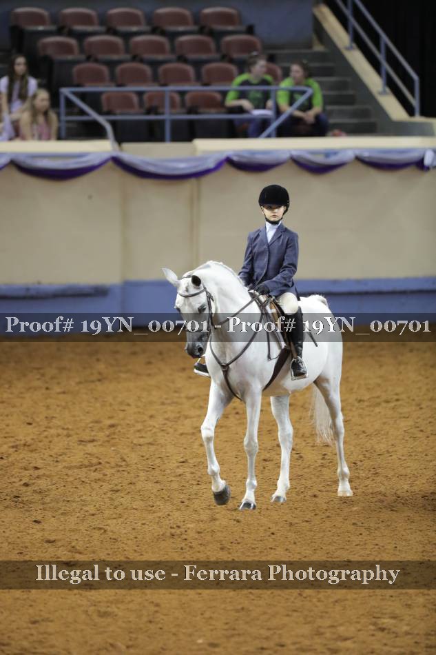 Proof 19YN_00701