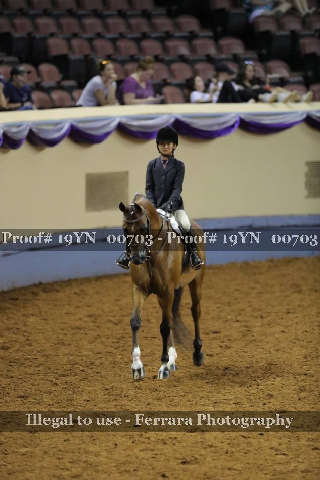 Proof 19YN_00703