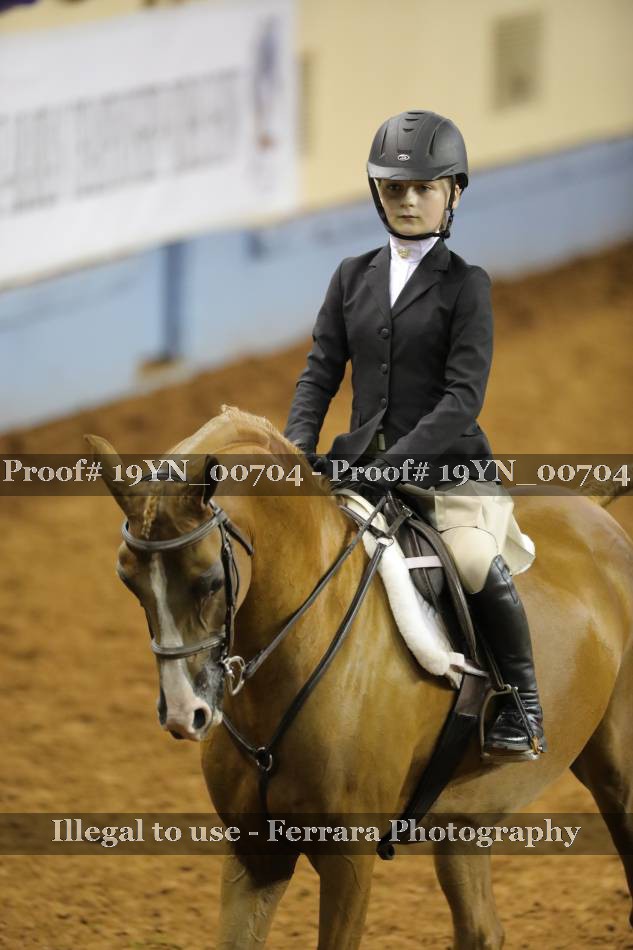 Proof 19YN_00704