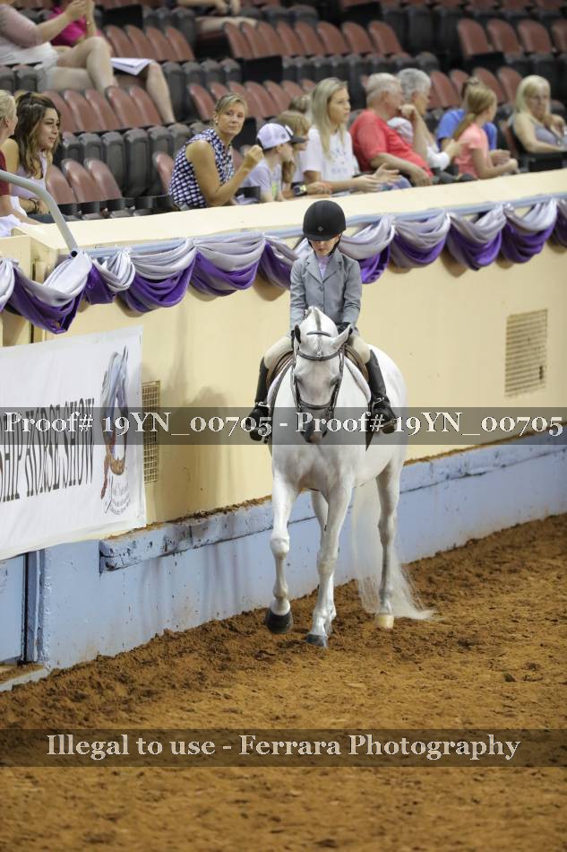 Proof 19YN_00705