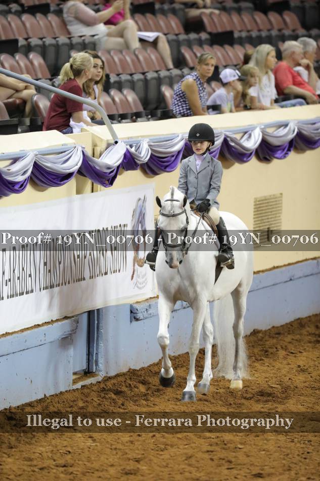 Proof 19YN_00706