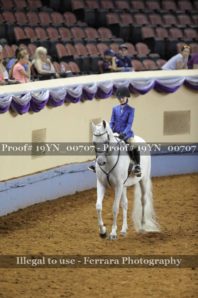 Proof 19YN_00707