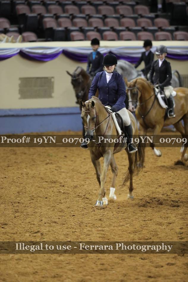 Proof 19YN_00709