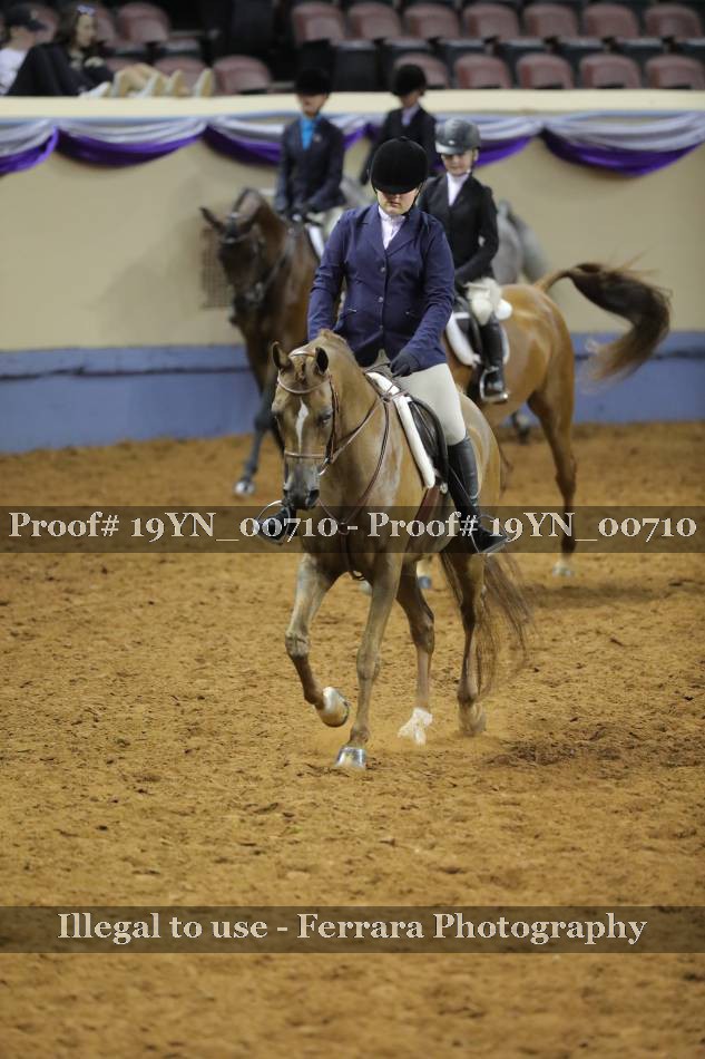 Proof 19YN_00710