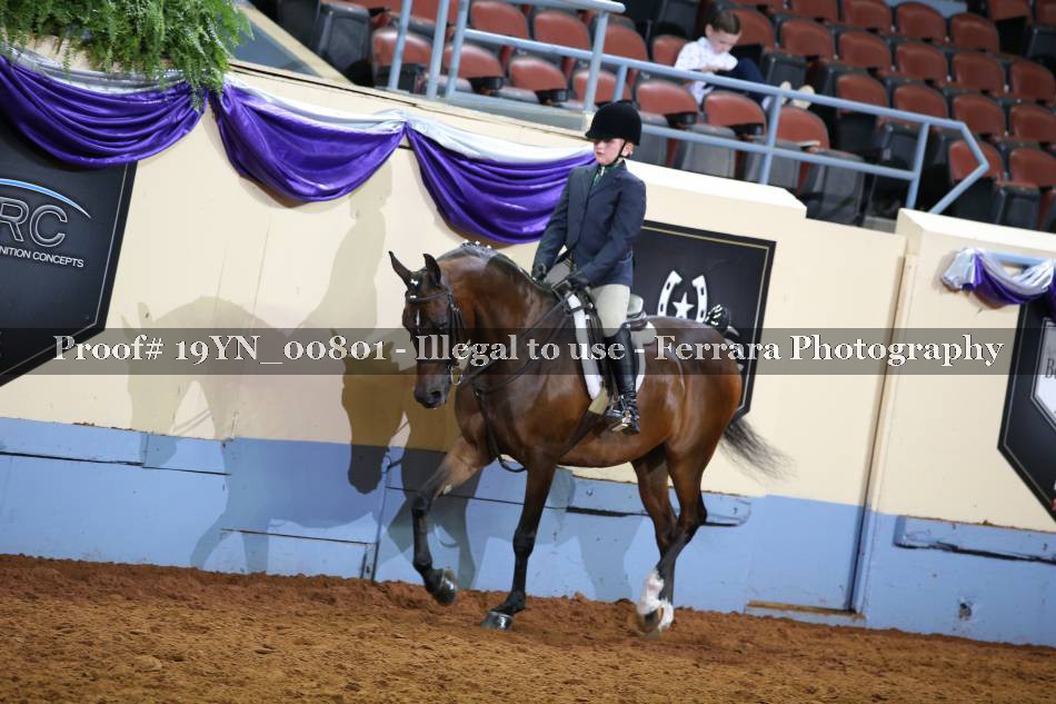 Proof 19YN_00801