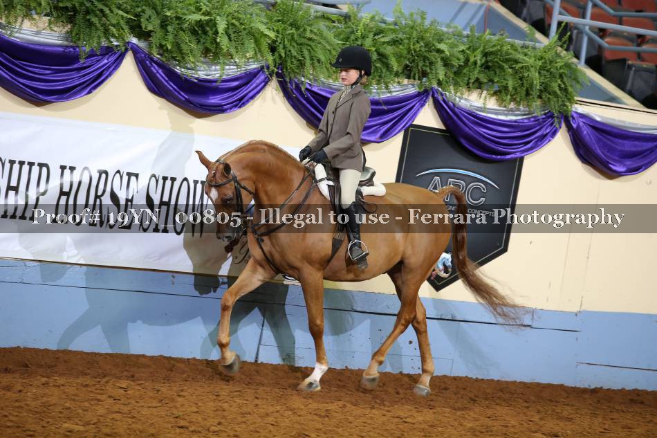 Proof 19YN_00805