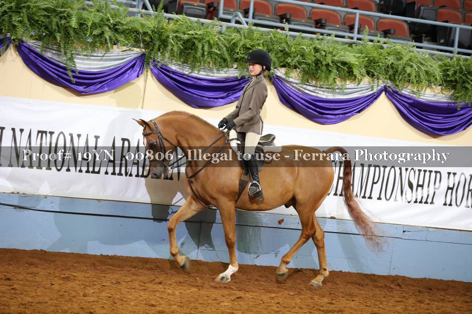 Proof 19YN_00806