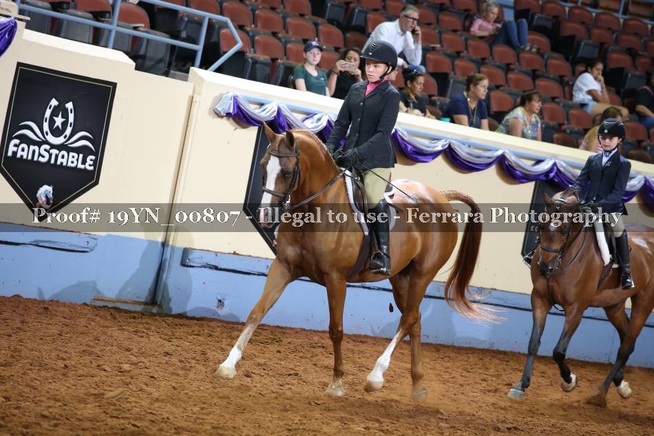 Proof 19YN_00807