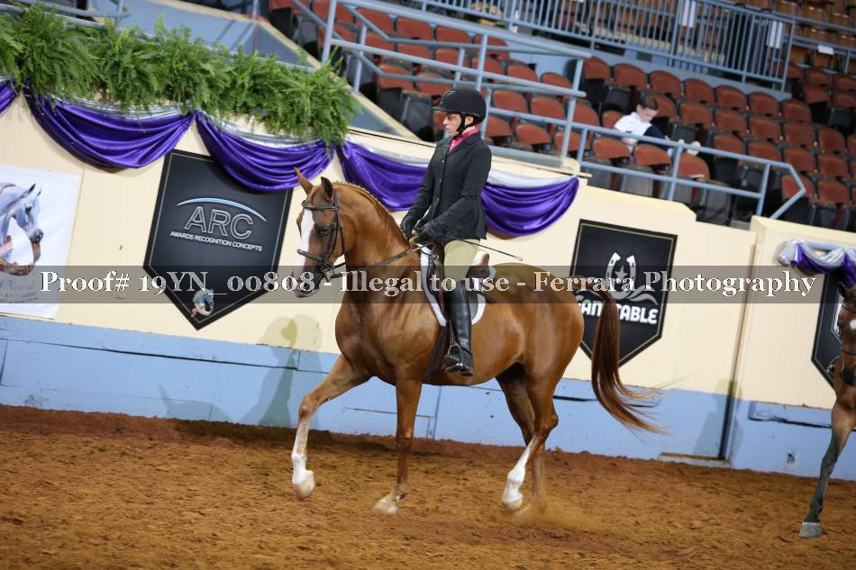 Proof 19YN_00808