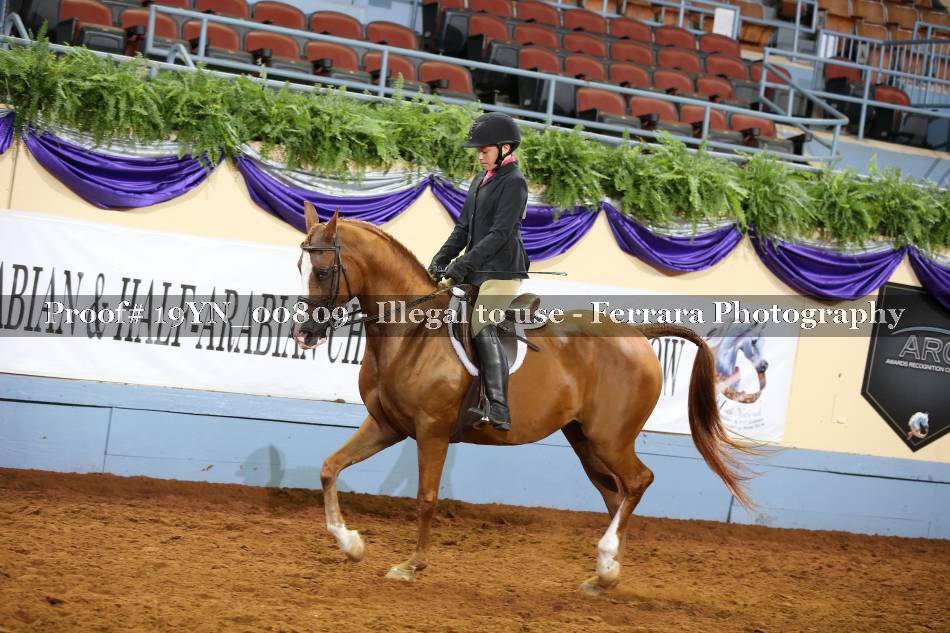 Proof 19YN_00809