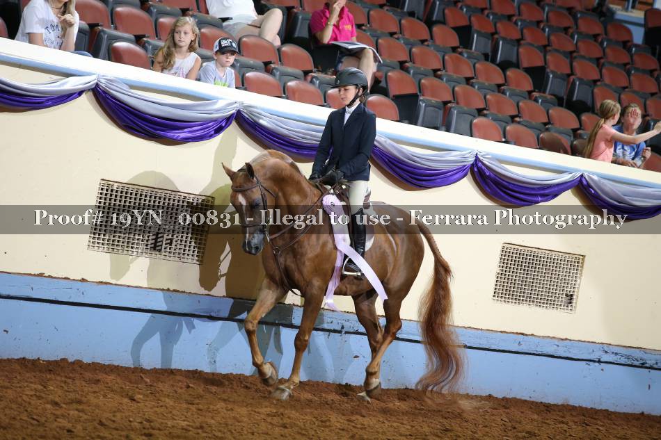 Proof 19YN_00831