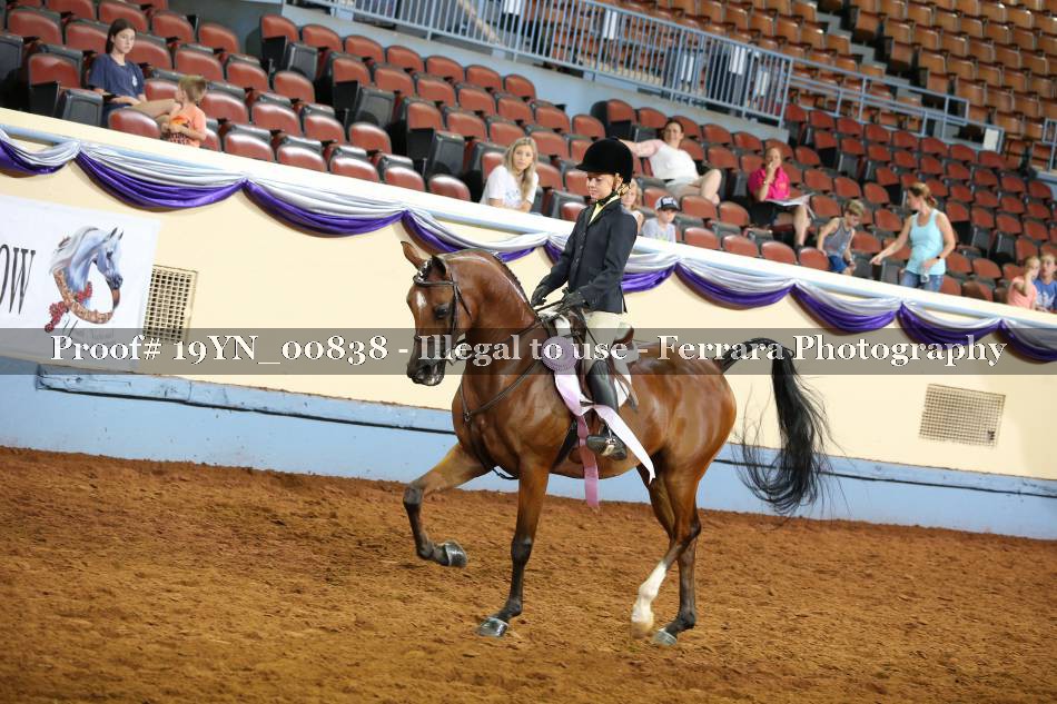Proof 19YN_00838