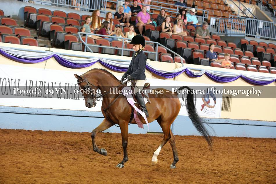 Proof 19YN_00839