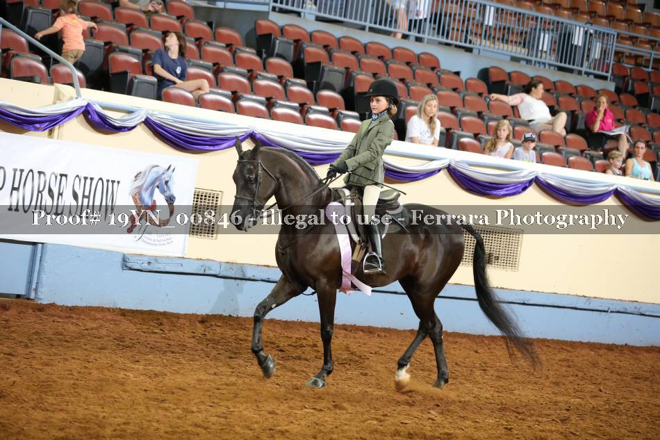 Proof 19YN_00846