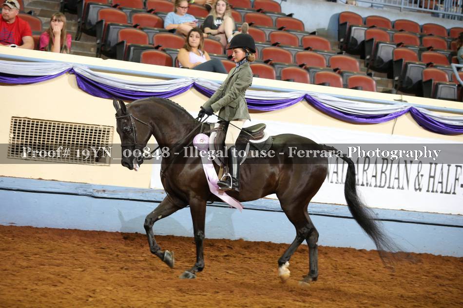 Proof 19YN_00848