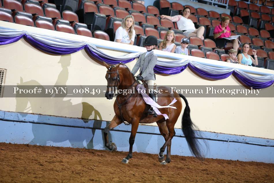 Proof 19YN_00849