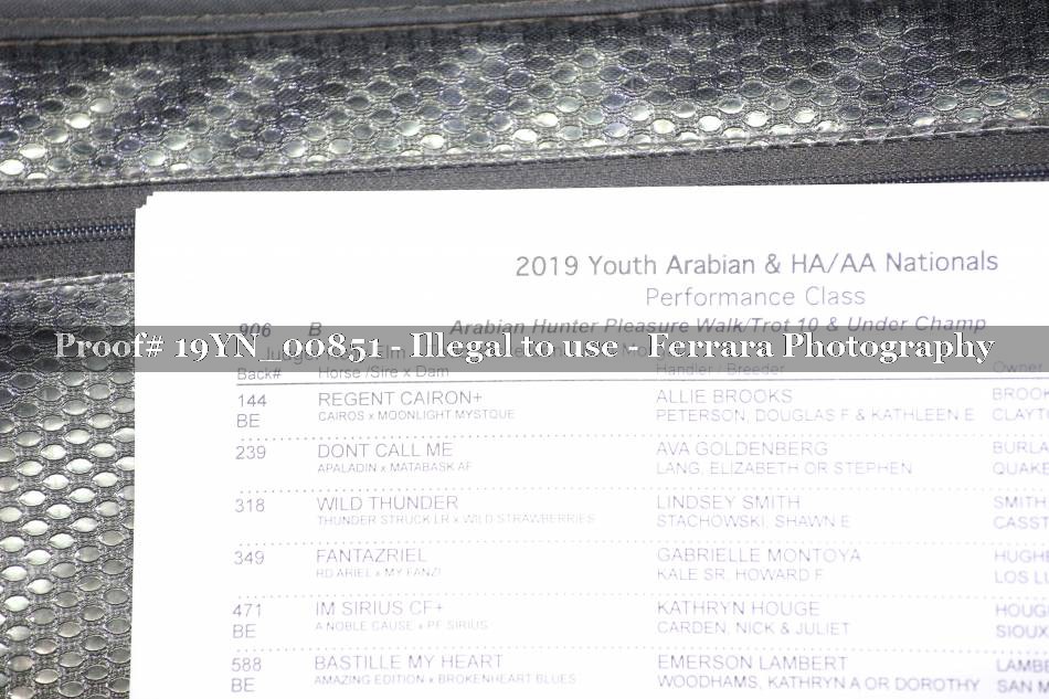 Proof 19YN_00851