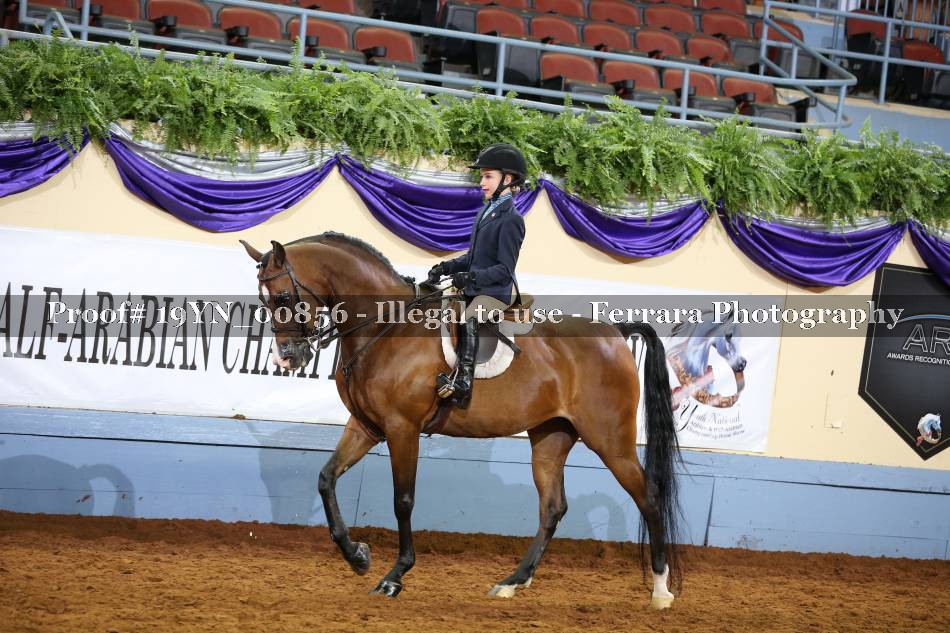 Proof 19YN_00856