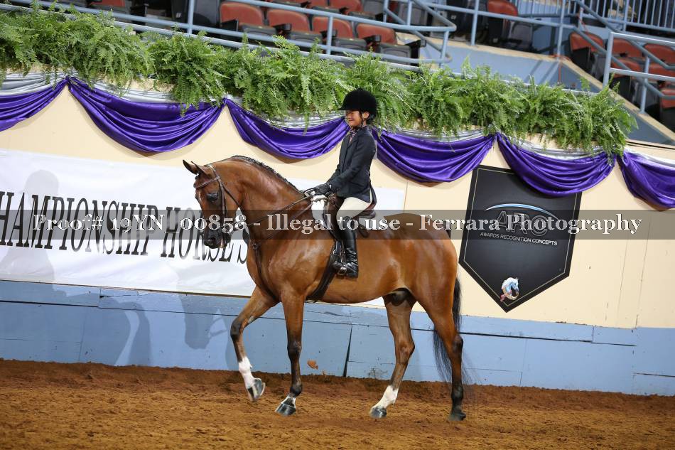 Proof 19YN_00858