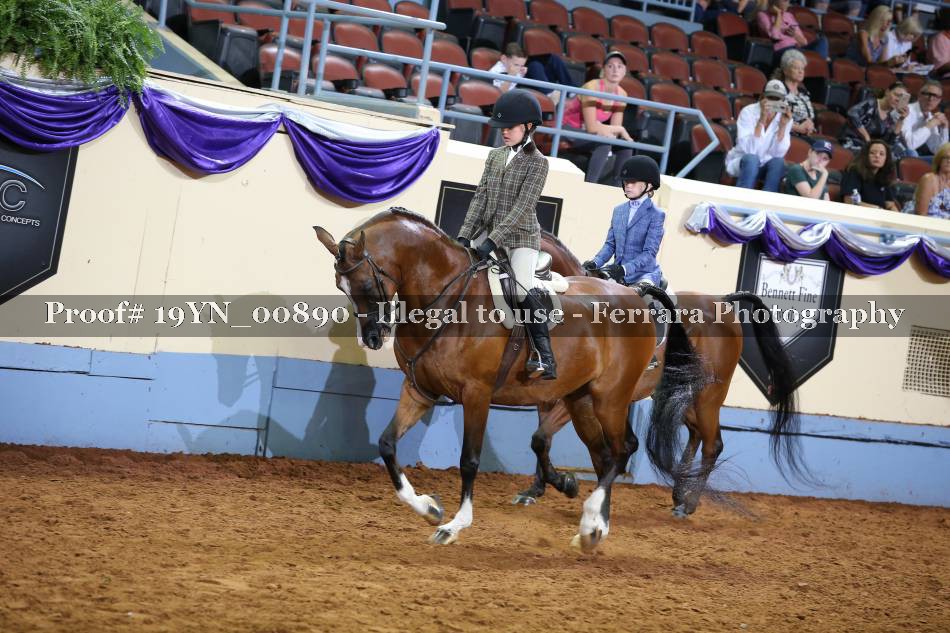 Proof 19YN_00890