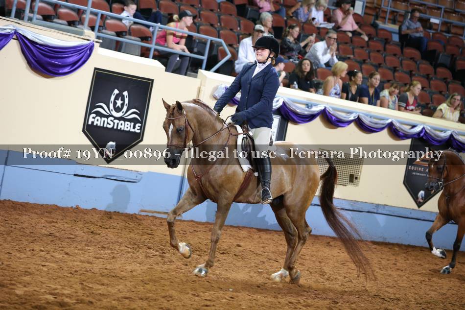 Proof 19YN_00896