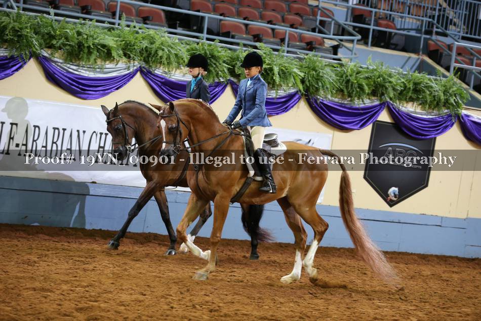 Proof 19YN_00901