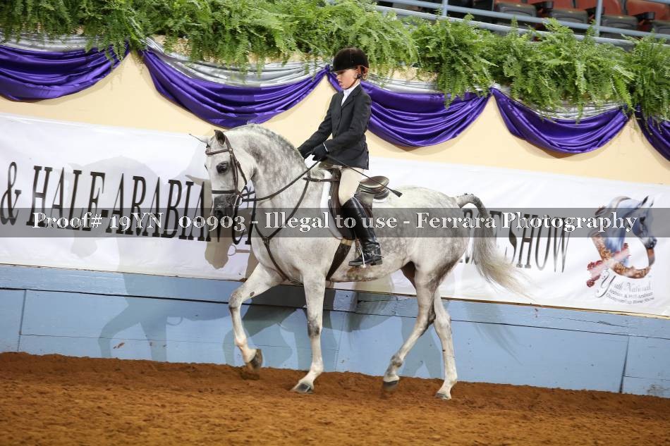 Proof 19YN_00903