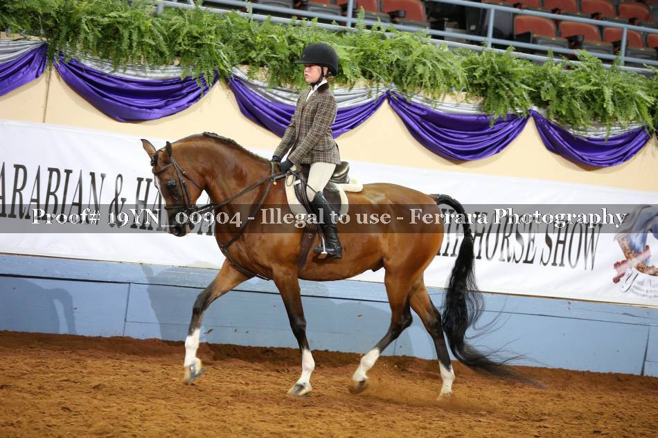 Proof 19YN_00904
