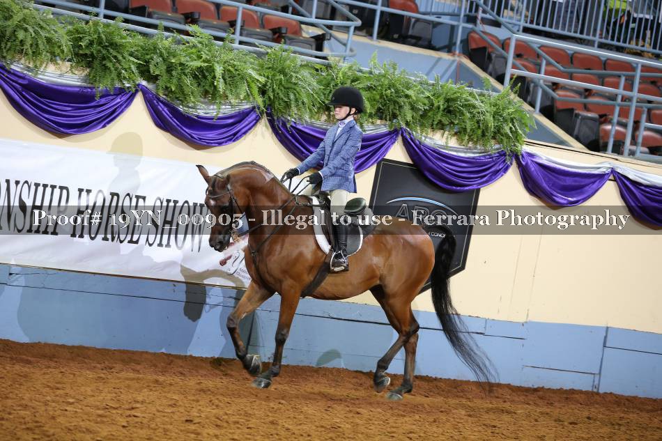 Proof 19YN_00905