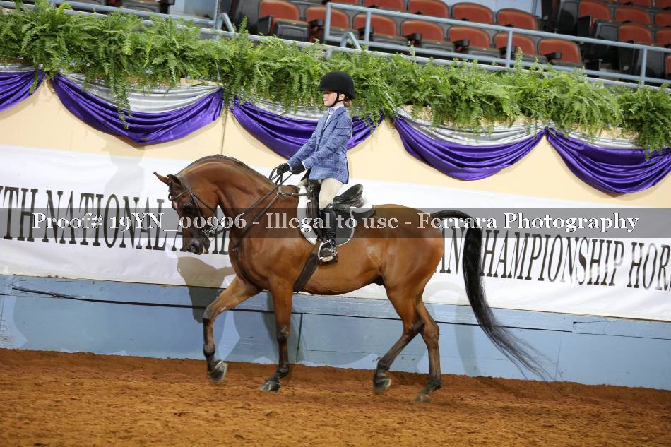 Proof 19YN_00906