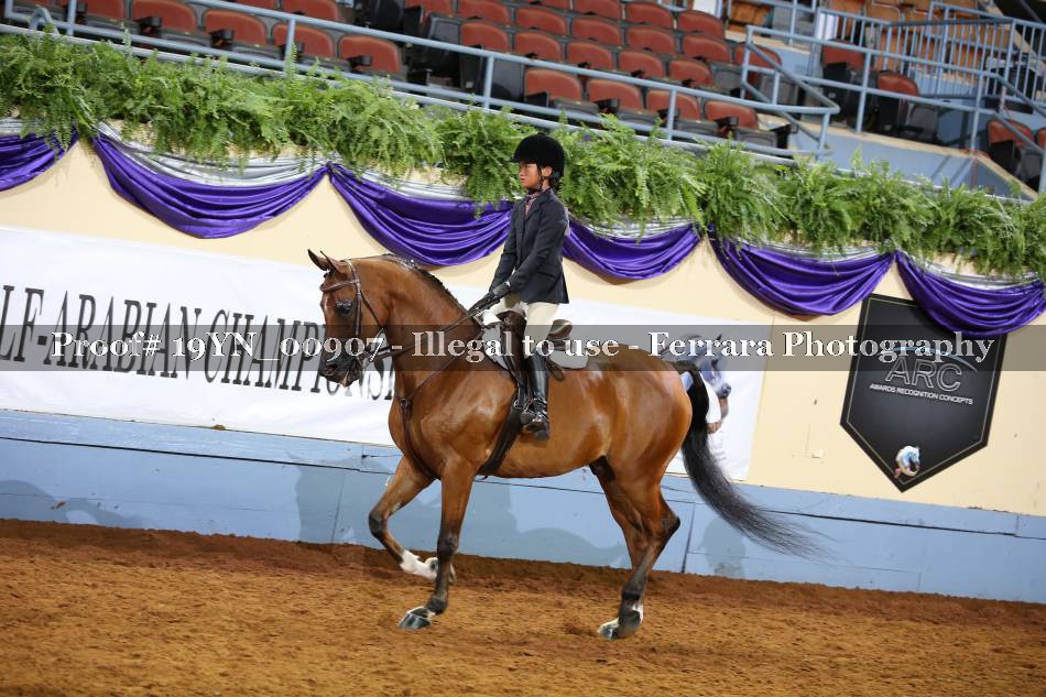 Proof 19YN_00907