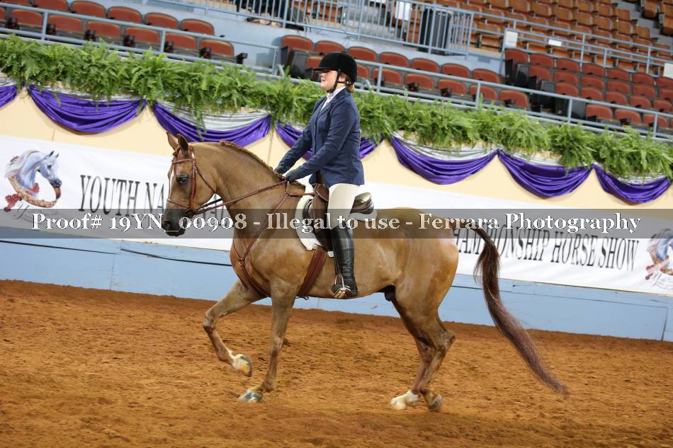 Proof 19YN_00908