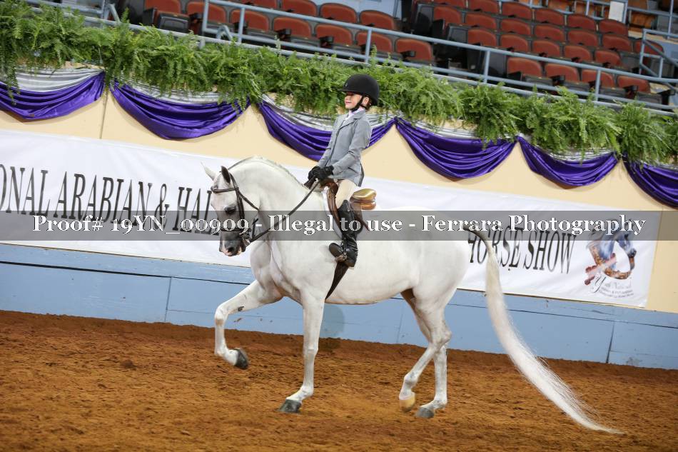 Proof 19YN_00909