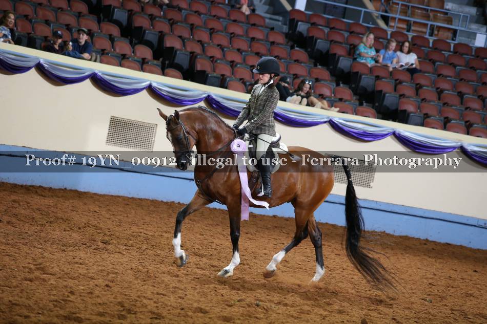 Proof 19YN_00912