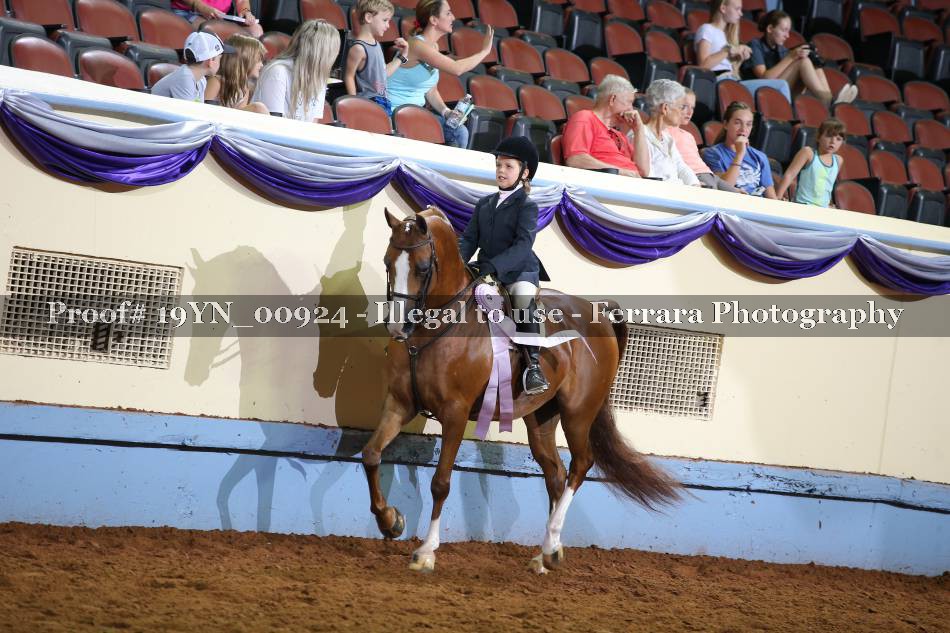 Proof 19YN_00924