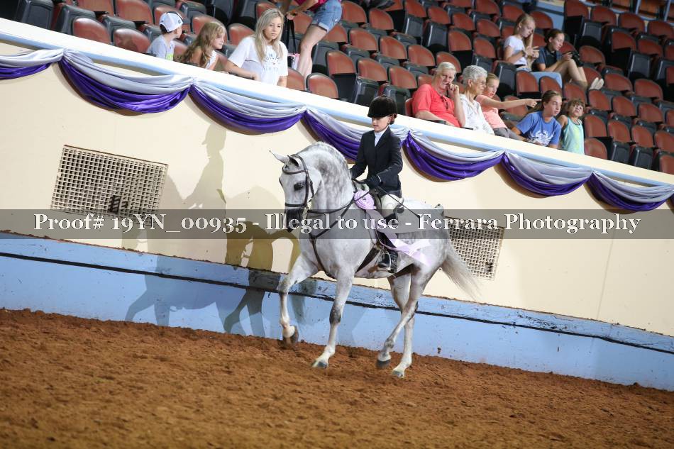 Proof 19YN_00935