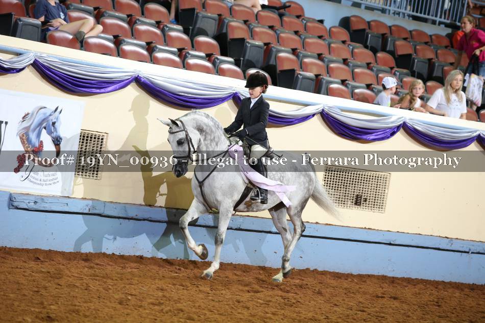 Proof 19YN_00936