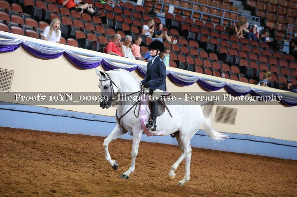 Proof 19YN_00939