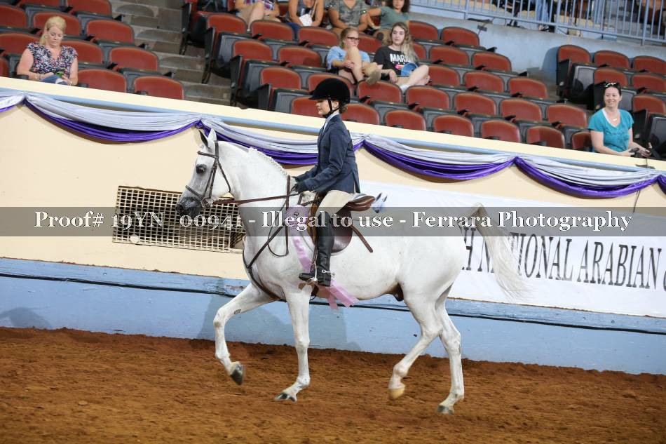 Proof 19YN_00941