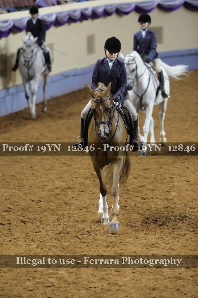 Proof 19YN_12846
