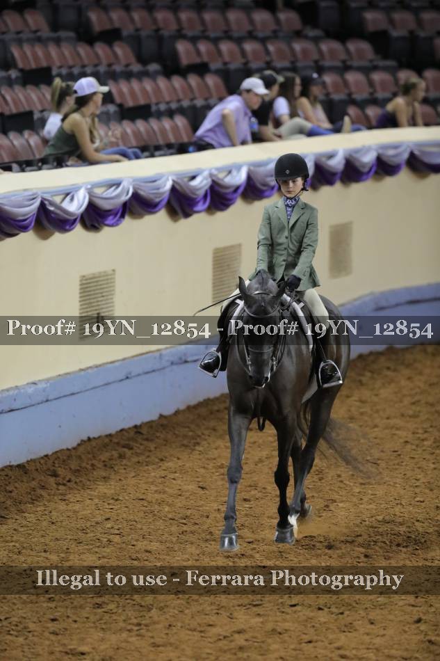 Proof 19YN_12854