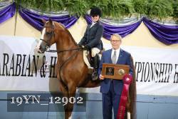 19YN_12902 proof