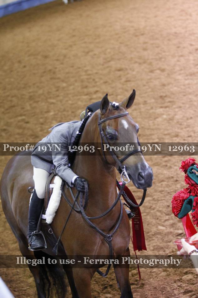 Proof 19YN_12963