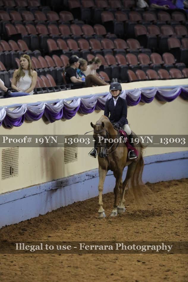 Proof 19YN_13003