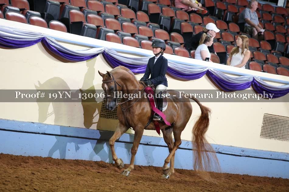 Proof 19YN_13006
