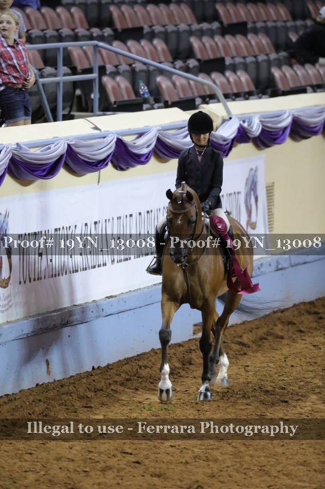 Proof 19YN_13008